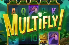 Multifly