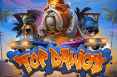 Top Dawgs