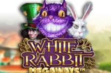 White Rabbit