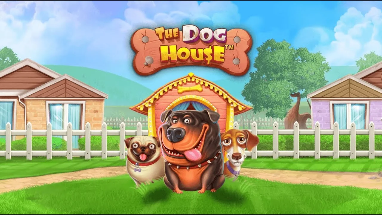 Dog House